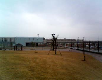 wOL